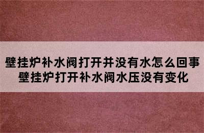 壁挂炉补水阀打开并没有水怎么回事 壁挂炉打开补水阀水压没有变化